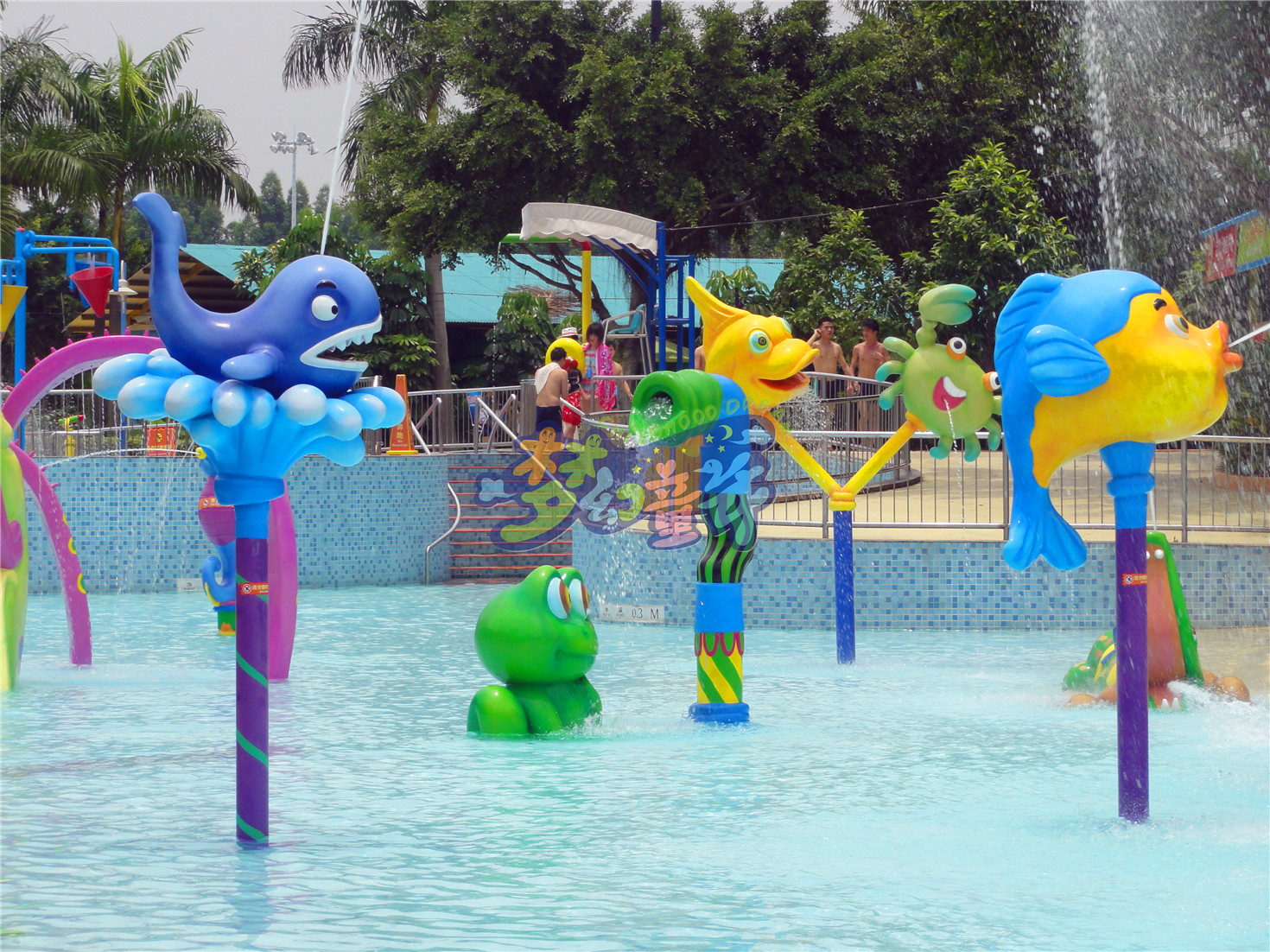 大型戲水池
